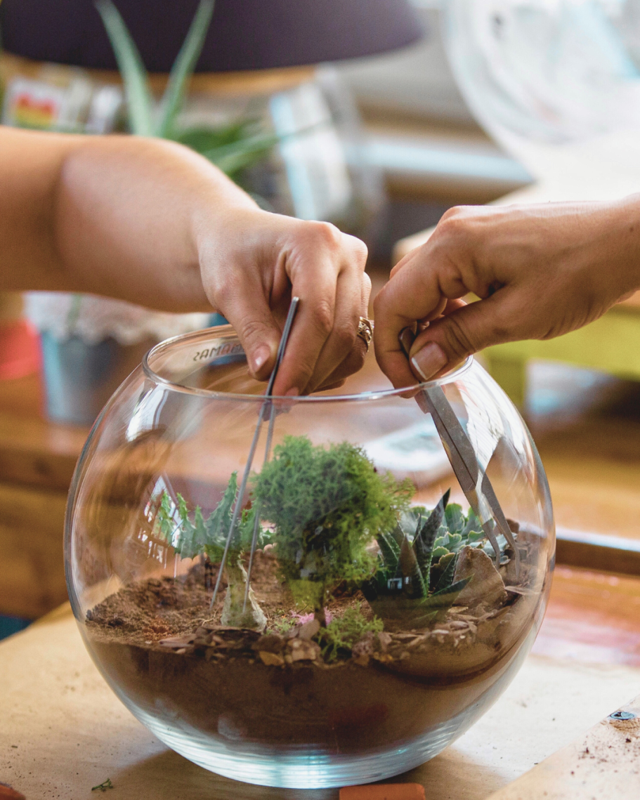Terrariums